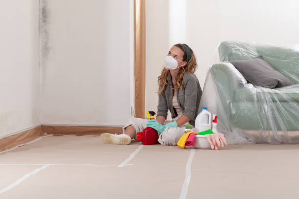Reliable Mold Remediation contractor in Pocomoke City, MD by 24 Hour Mold Removal